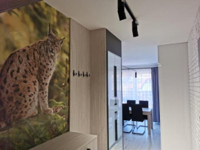 Apartament Ryś, Szklarska Poręba